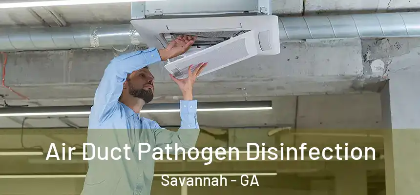 Air Duct Pathogen Disinfection Savannah - GA