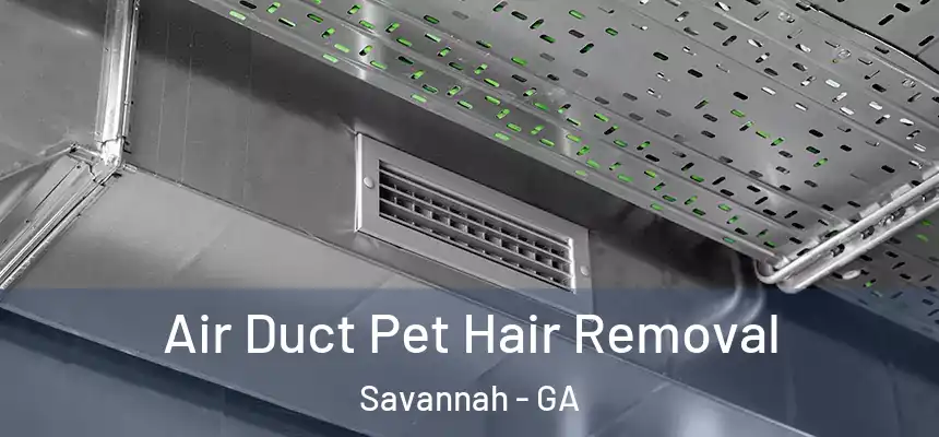 Air Duct Pet Hair Removal Savannah - GA