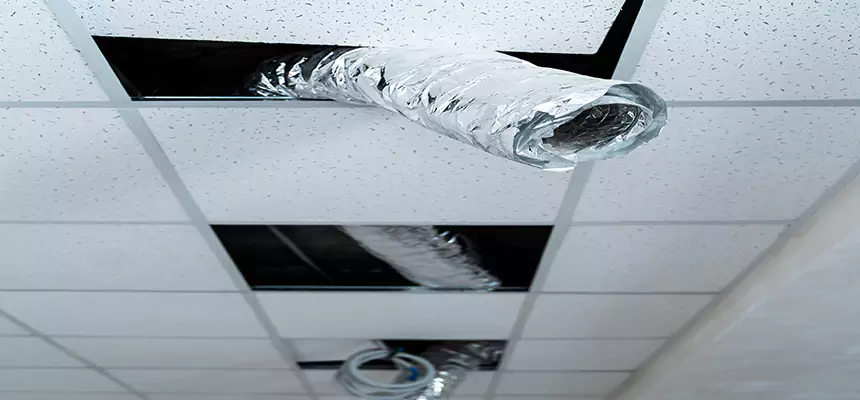 Our Air Duct Pet Hair Removal Services in Savannah, GA