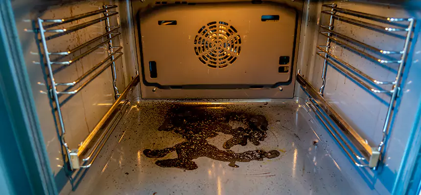 Our Dryer Vent Mold Cleaning Services in Savannah, GA