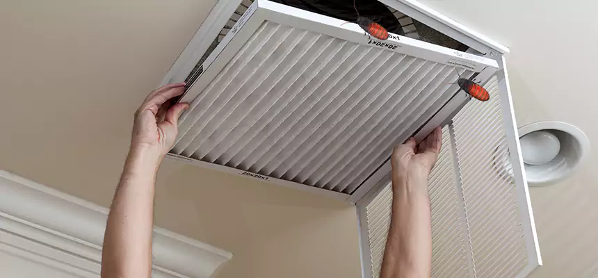 Our Insect Removal from Air Ducts Services in Savannah, GA