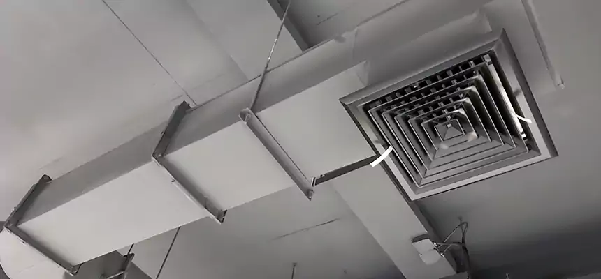 Our Pest Removal From Ducts Services in Savannah, GA