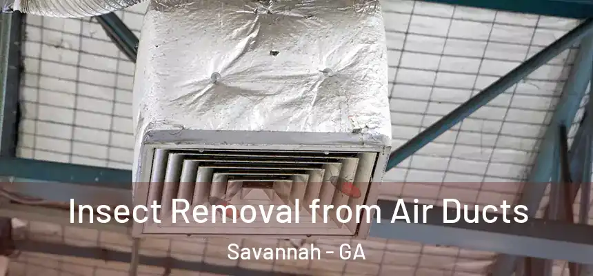 Insect Removal from Air Ducts Savannah - GA