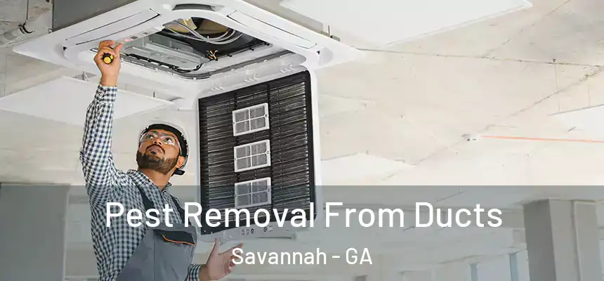 Pest Removal From Ducts Savannah - GA