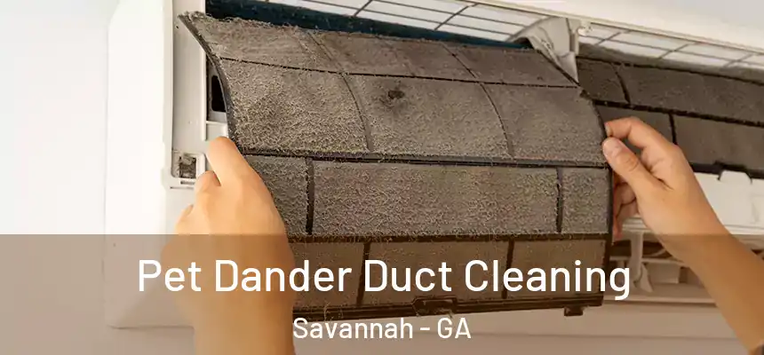 Pet Dander Duct Cleaning Savannah - GA
