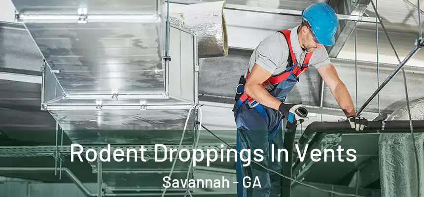 Rodent Droppings In Vents Savannah - GA