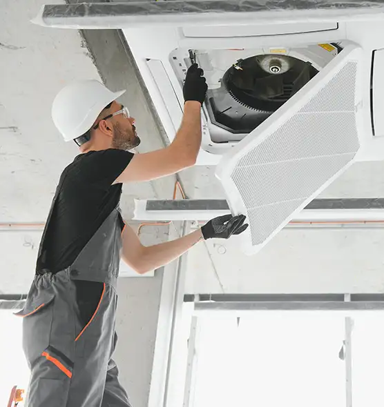 About Air Duct Rodent Removal in Savannah, GA