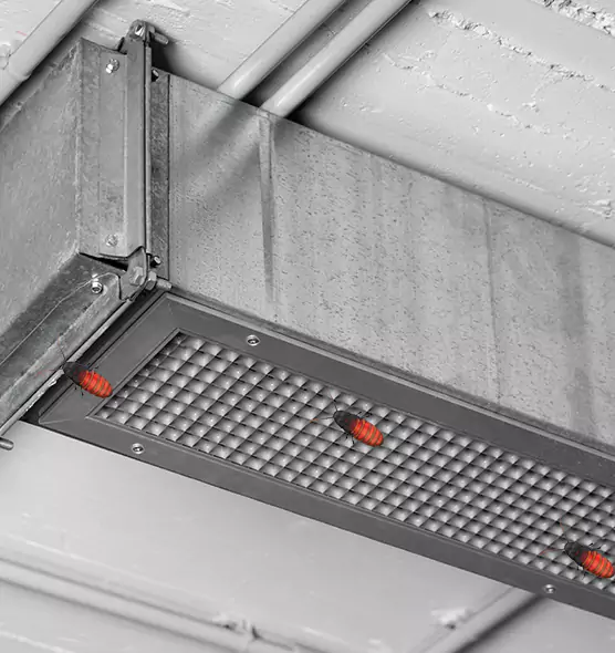 Affordable Insect Removal from Air Ducts in Savannah, GA