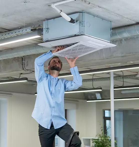 Advanced Rodent Droppings In Vents in Savannah, GA