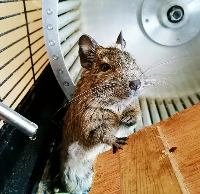 Why Homeowners & Businesses Trust Us Savannah, GA?