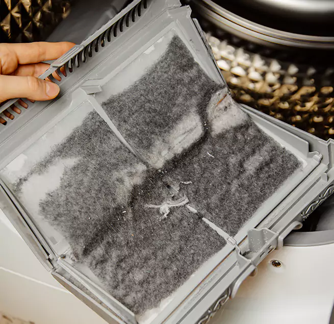 Why Homeowners & Businesses Trust Us Savannah, GA?