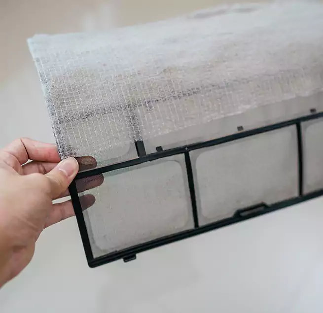 Why Homeowners & Businesses Trust Us in Savannah, GA?