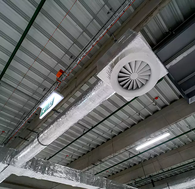 Why Homeowners & Businesses Trust Us in Savannah, GA