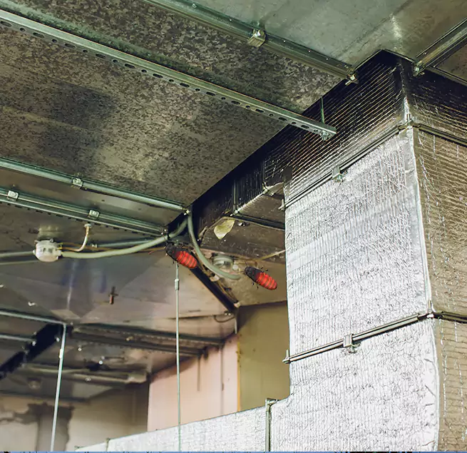 Why Homeowners & Businesses Trust Us Savannah, GA?