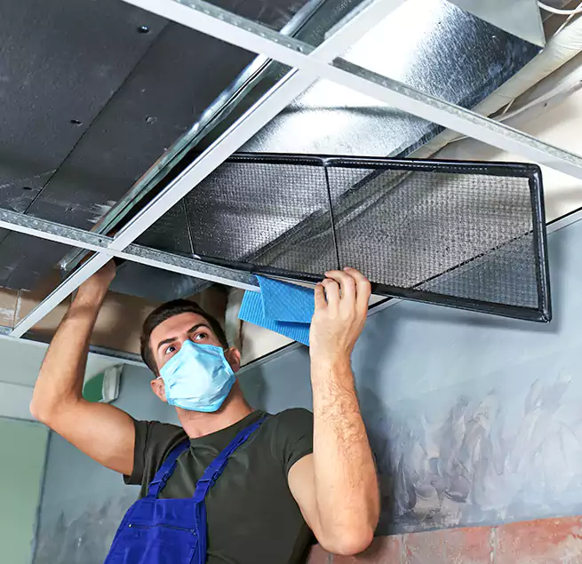 Why Homeowners Businesses Trust Us in Savannah, GA