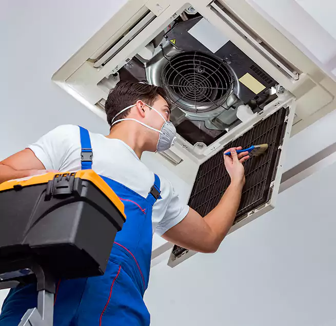 Why Homeowners & Businesses Trust Us in Savannah, GA?